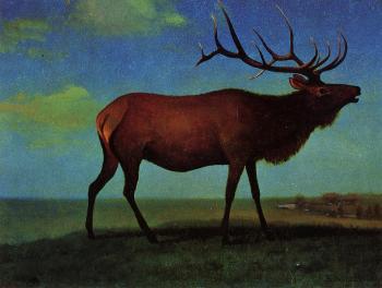 Albert Bierstadt : Elk